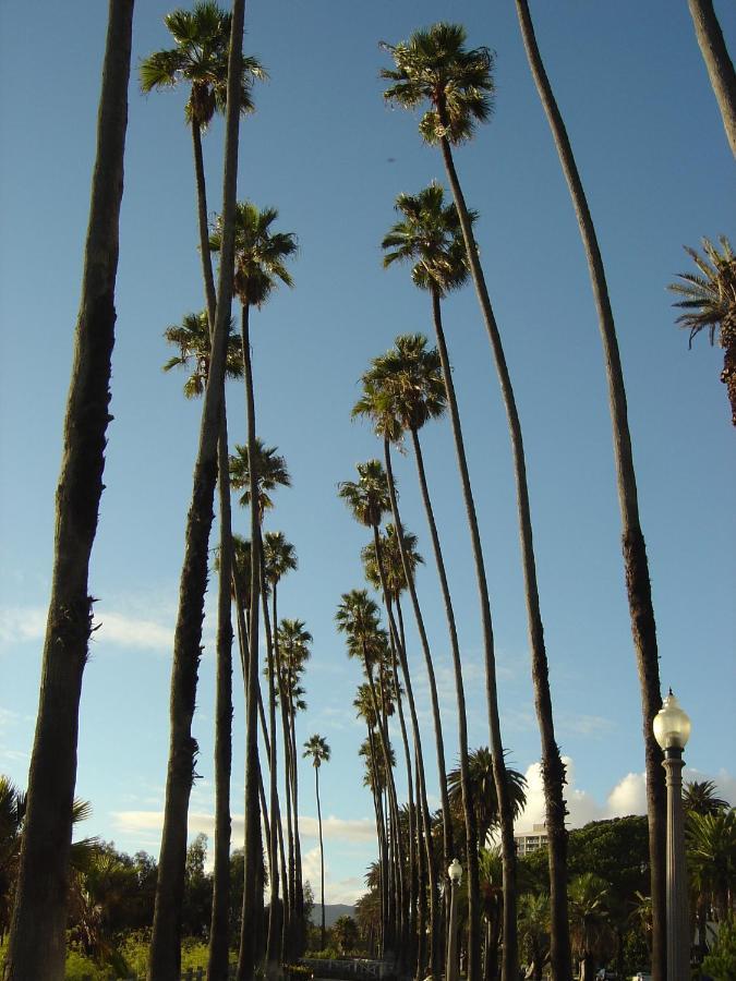 Las Palmas - Modern, Stylish, Spacious, Secure & Tranquil Condo With 2 Master Suite Bedrooms - Wlk To Sm Pier Los Angeles Eksteriør billede